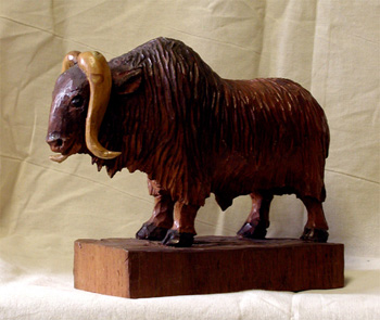 Zeledón Néstor-Búfalo