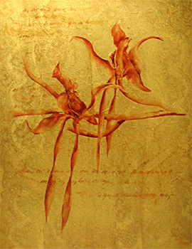 Conte Guillermo_Orquídeas